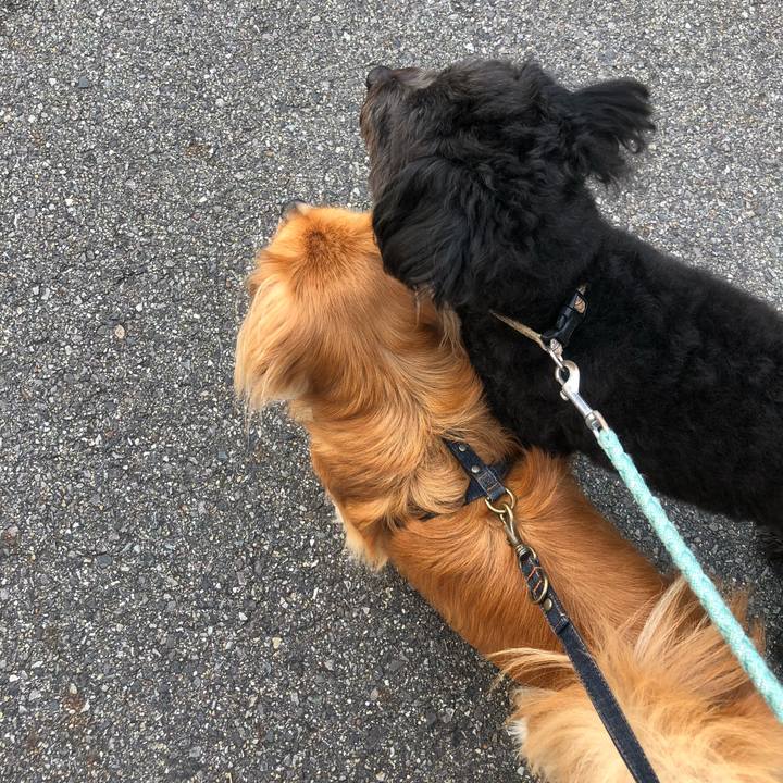 B8aef4be a18f 4bdf 82b7 d94bedc5775e 1534195457072