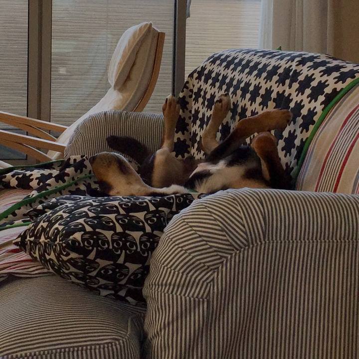 B8aef64c 2b7b 4487 a4dc f58f03f092b9 1529124005335