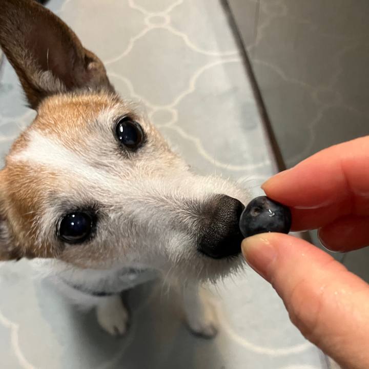 B8af0986 3567 42a3 beba 5f2c42d1db38 1713578932289