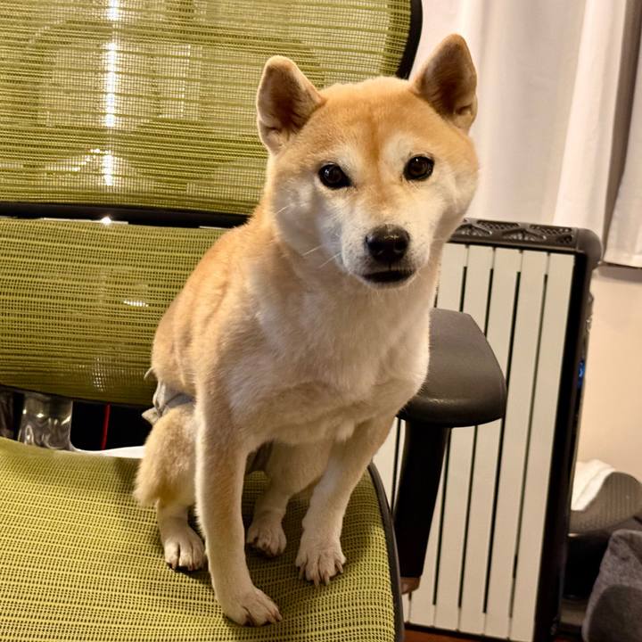 B8af2cb6 7c27 4daa a099 e0165da7a6bc 1770601688888