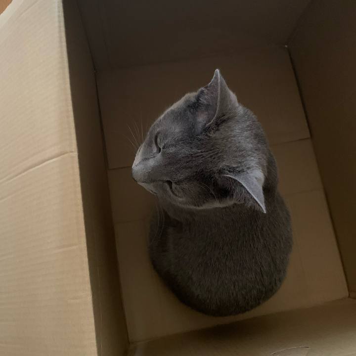 B8af51ca a057 4e7d a246 cb0016d8ca65 1623311032176