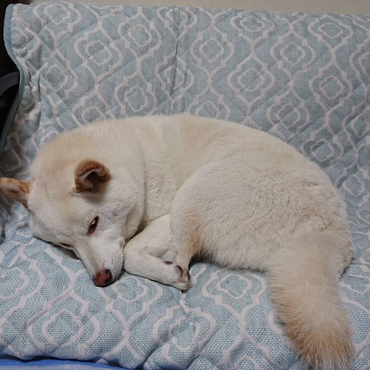 B8afae68 679a 4d66 9631 6645f6a7ad86 1591708270433