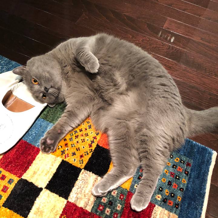 B8b04285 8d49 44c4 be71 5a67666fffe3 1524635421326