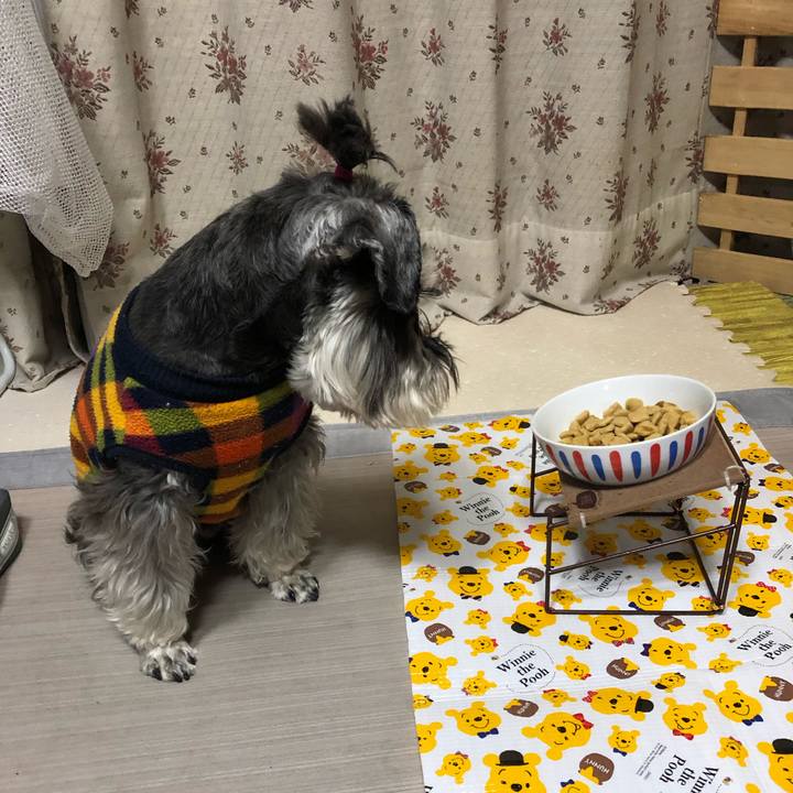 B8b050de aacc 4c1f ab51 9c19a06c3b01 1616146429189