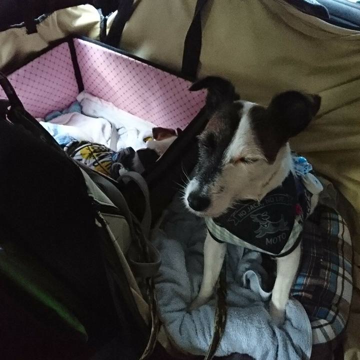 B8b05332 8c73 4b63 a033 e77ab0614ea9 1537737247567