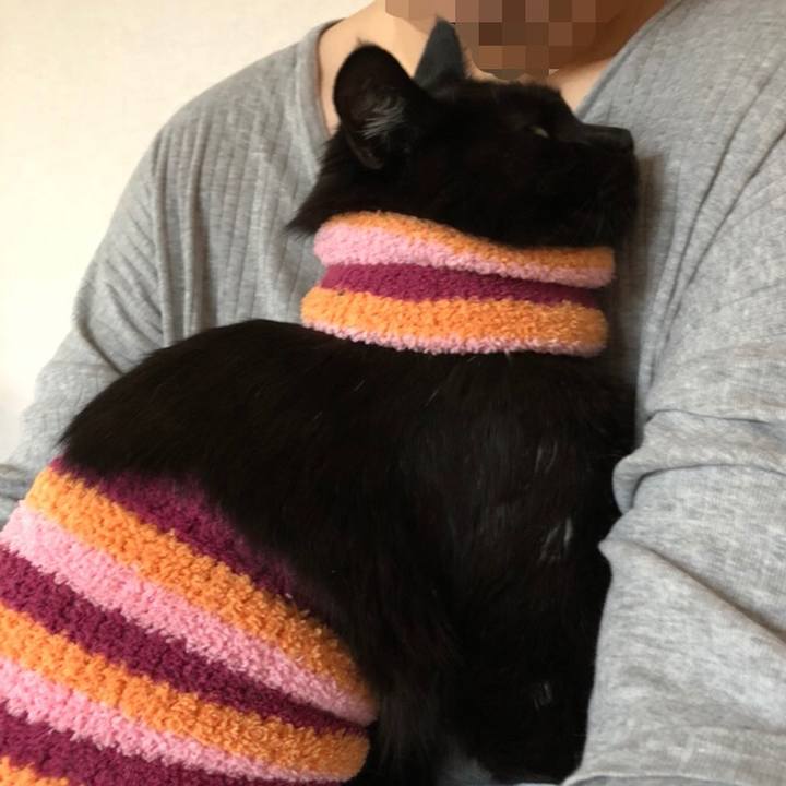 B8b06d14 546d 4028 85b0 682ca444074e 1588629731603