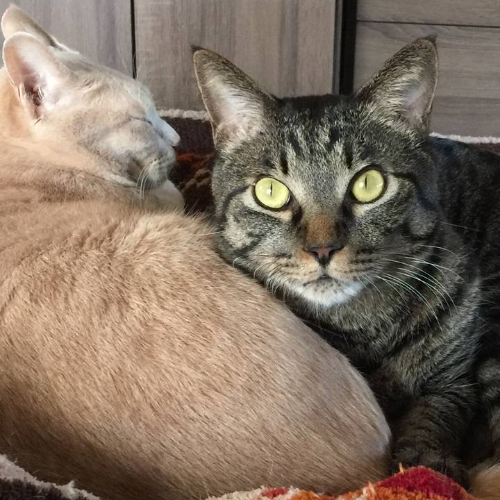 B8b086ae 37a5 45b3 9c6e 21ec93389931 1564140887200