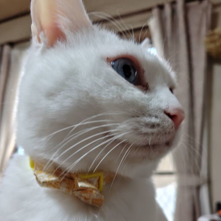 B8b0911f 6493 47be 8a04 74b3040c3e9a 1766810532883