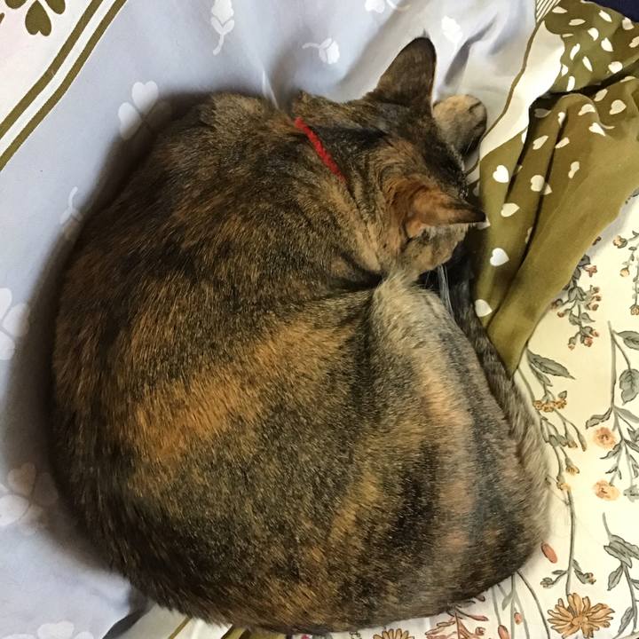 B8b0dd8f d9e2 4b75 8f59 90e858ed73d3 1709358449134