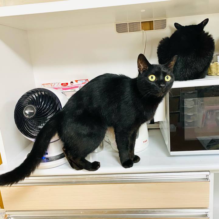 B8b0de7b 2abd 4354 813d d7ac02fce822 1687817474701