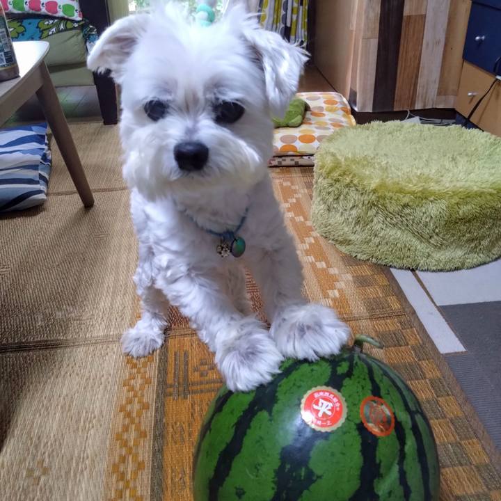 B8b0f5f8 66cf 499d 8fc2 3350716bc9a1 1719398588474