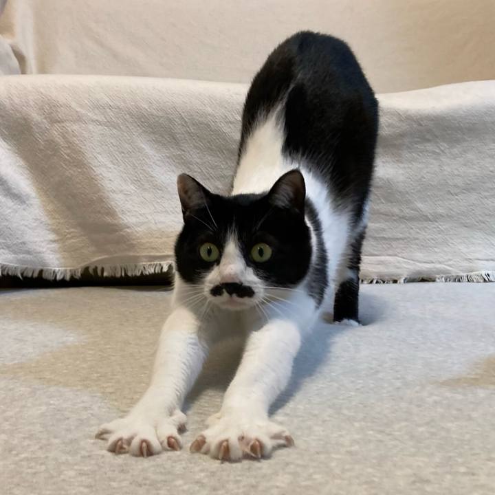 B8b0fd1b 50bc 4efa a793 b3548408b298 1772799012803