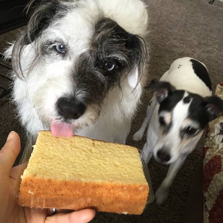 B8b0fd95 599b 4017 b3ab 19c99d4f196c 1554208233529