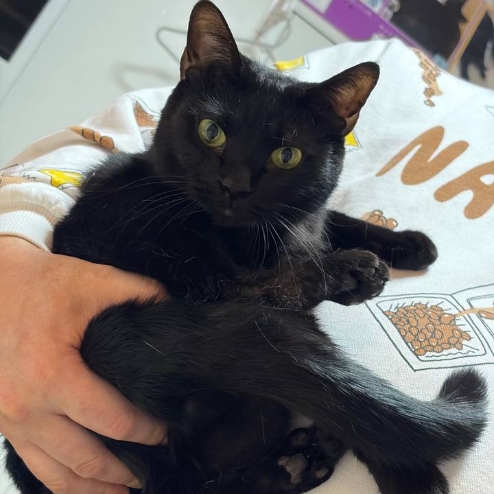 B8b129fd 3388 4c0a bf62 94f0853d0b12 1772370394475