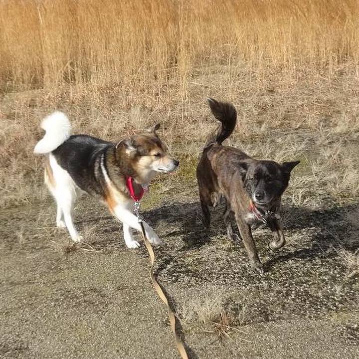 B8b16686 bfab 48f2 9d03 a0041ec14341 1520163045102