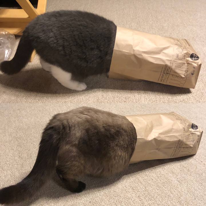 B8b167e9 0e50 4466 a3bb 2f1f2d343d92 1612960017208