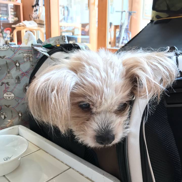 B8b1689e 2dd9 4ade 9b77 ac258fea61eb 1526799336333