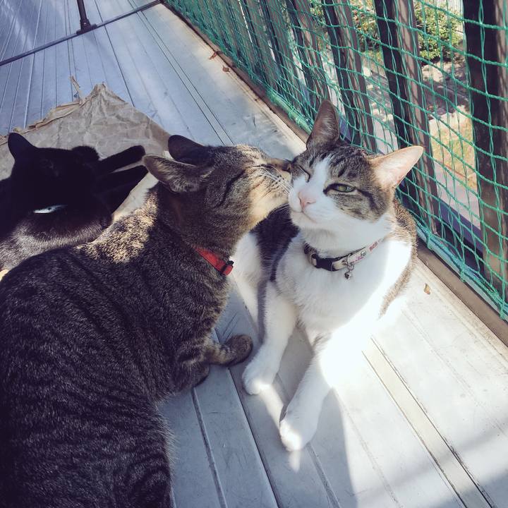 B8b17637 203d 43e0 8682 7e6e95f53412 1521026179476