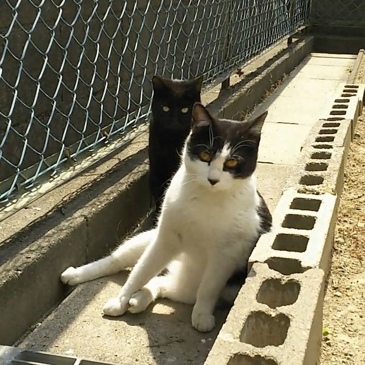 B8b18164 7090 4893 9fa8 6603c88545ed 1554609657438