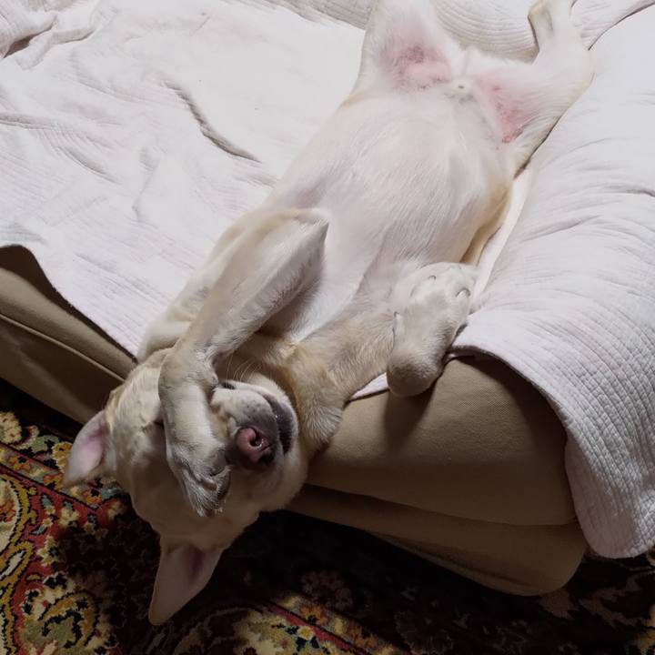 B8b18fb5 2f30 402d af3a 26087239b252 1697205916966