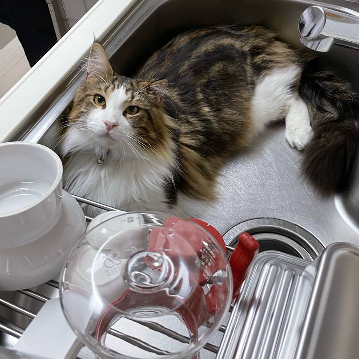 B8b1a7a9 6a6c 4837 8471 353e45034b41 1653940948254