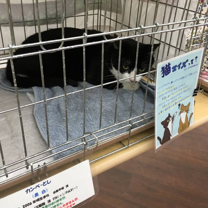 B8b1ba71 7935 4bc7 8817 c3541eba8984 1568438803745