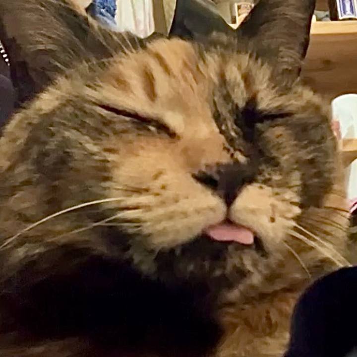 B8b1bda2 57e1 498e bc57 dbe280fd2f60 1740361375798