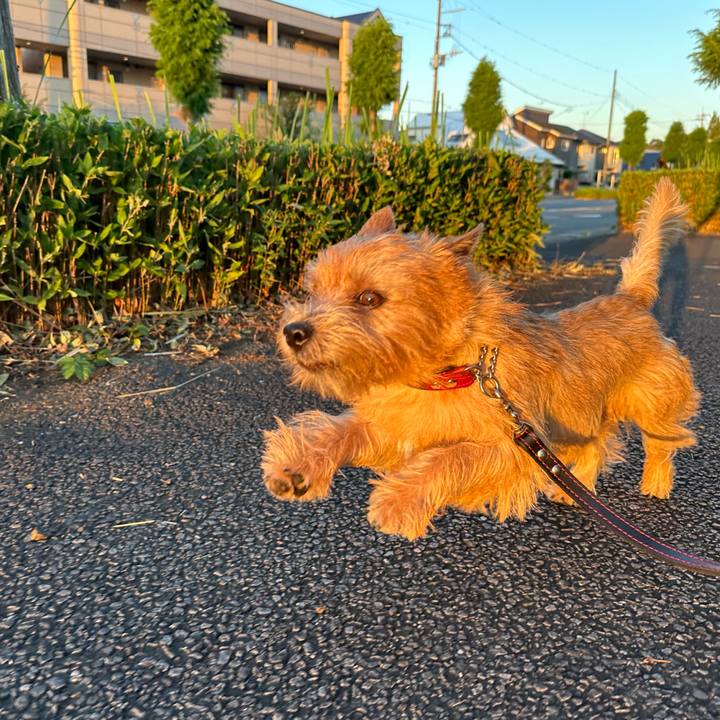 B8b1e27e 4dfc 4642 bf92 cb8295b30592 1726057860839