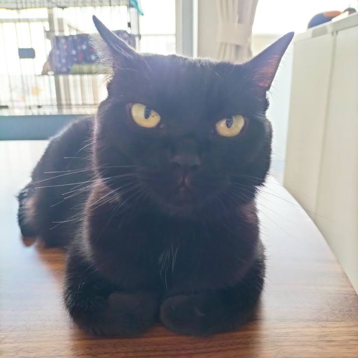 B8b20e81 8b8d 4414 a3a8 89a3f1ce81e2 1689892658452