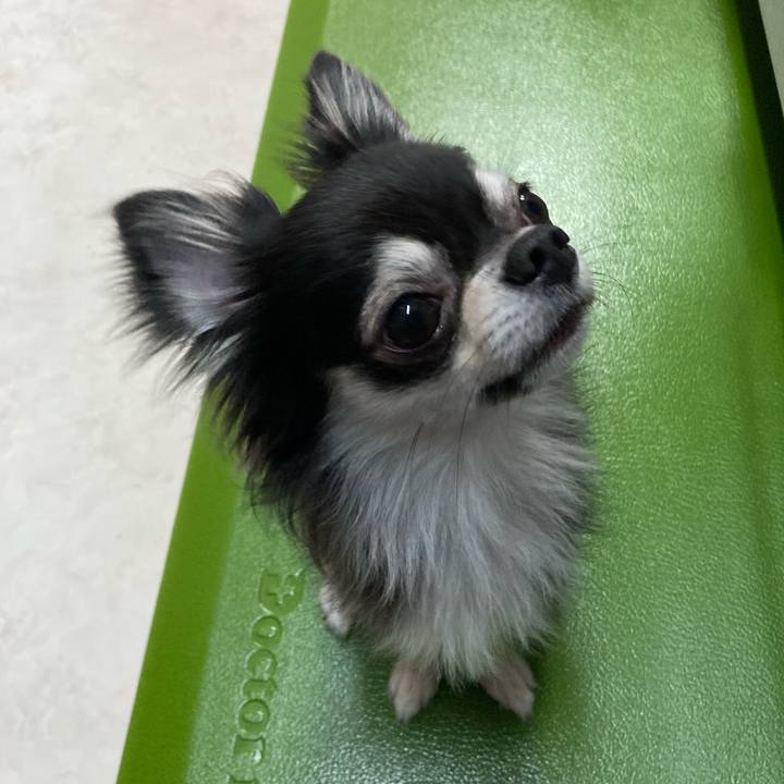 B8b22052 acd4 4501 94d2 341f7948ee87 1634439892168