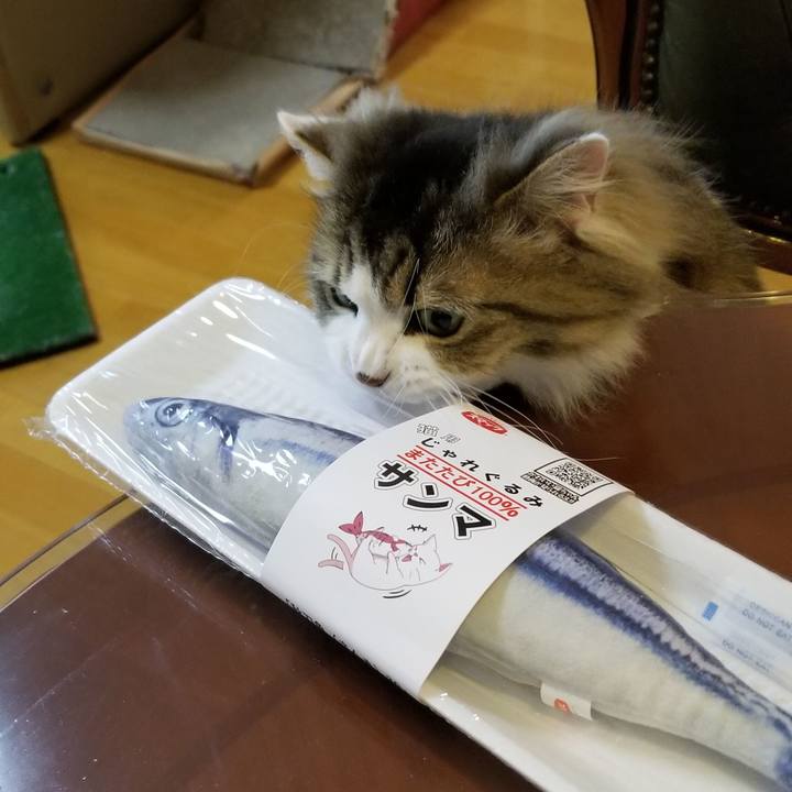 B8b22456 1900 48fb 892d 22026201db85 1559683738473