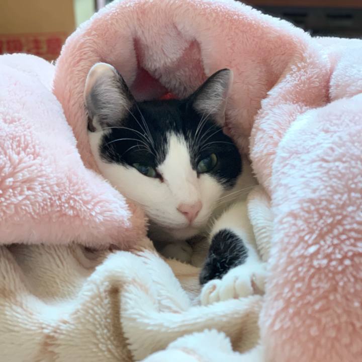 B8b23149 240f 43d4 856d 816da6d93c50 1545783181171