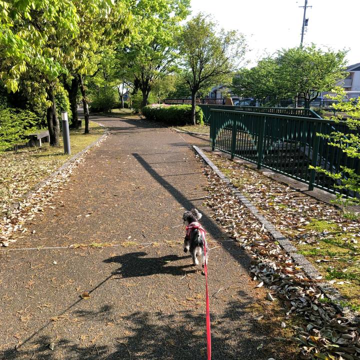 B8b23195 8817 439e 8b7f d757cc4effad 1557104641224