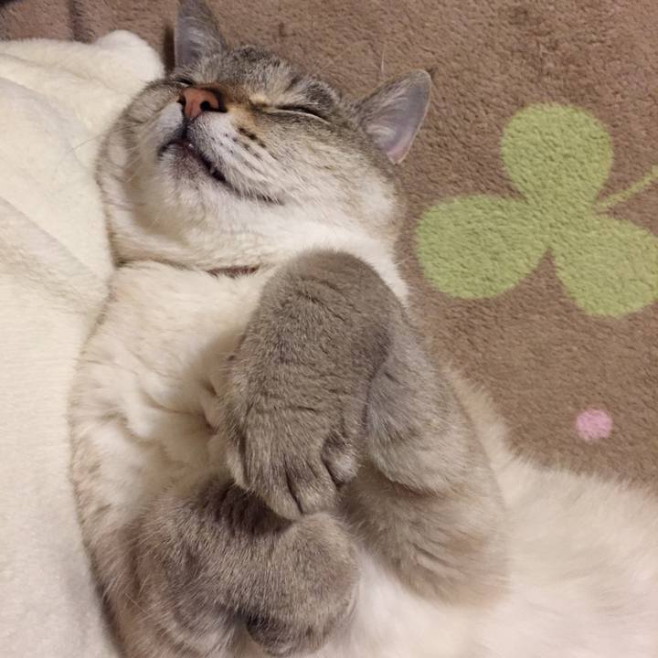 B8b23315 e3cd 4471 a433 bf14e02b1bf3 1555420920774