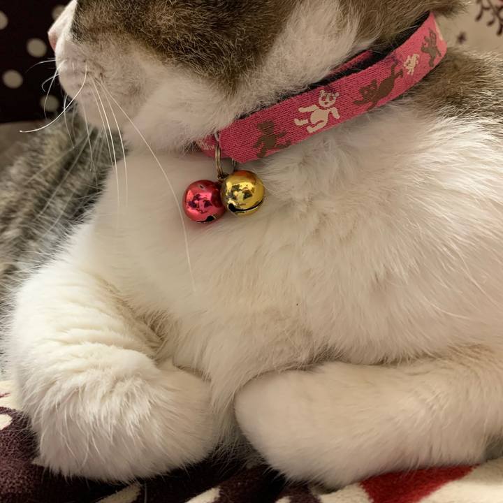 B8b24433 3026 4287 81df 549e686fc7b8 1669382762104