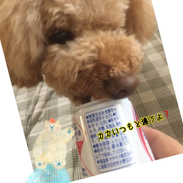 B8b24ede e97b 47ee b122 e525aa80b9e1 1531260162794