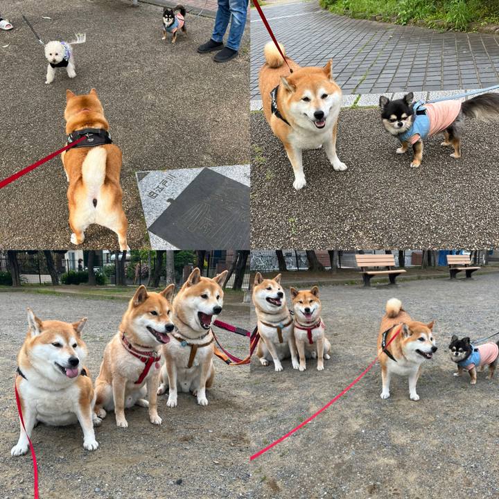 B8b2956b 5ef3 4633 95cc a0a4b663ecaa 1652953196300