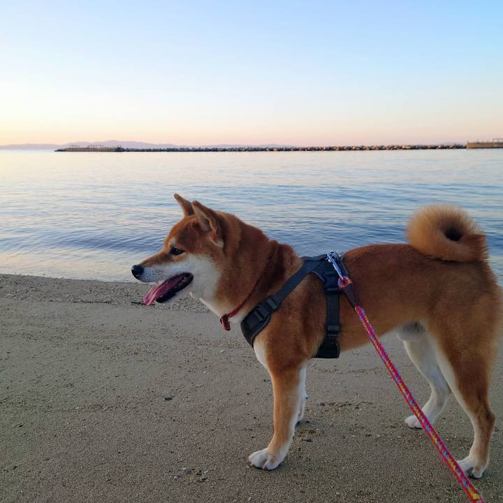 B8b2bfef b101 410c 9275 20eef2785fa8 1765102013325