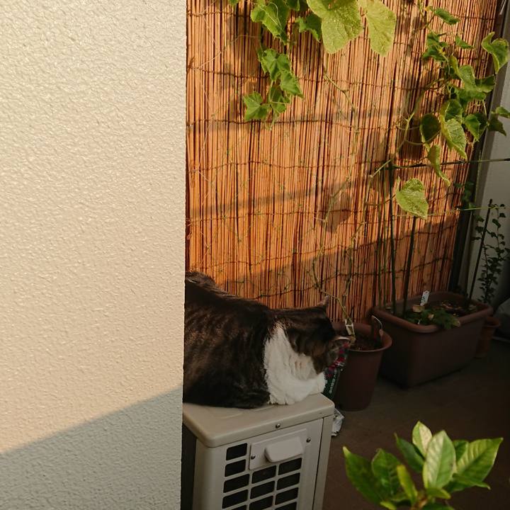 B8b31929 4d27 45a0 b0ab 9076766958ba 1566077759127