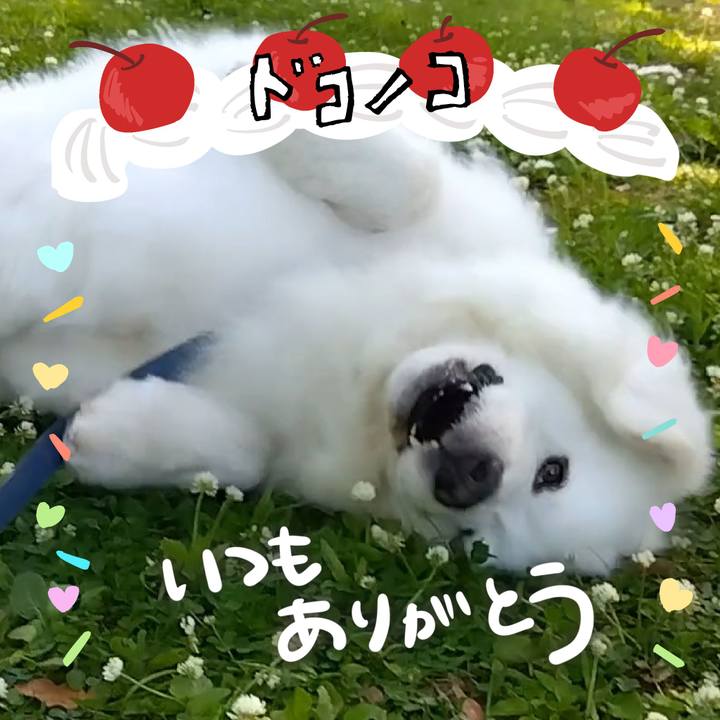 B8b33cb1 c4a1 4949 bb26 f0b3e4bfcdb4 1685969270713