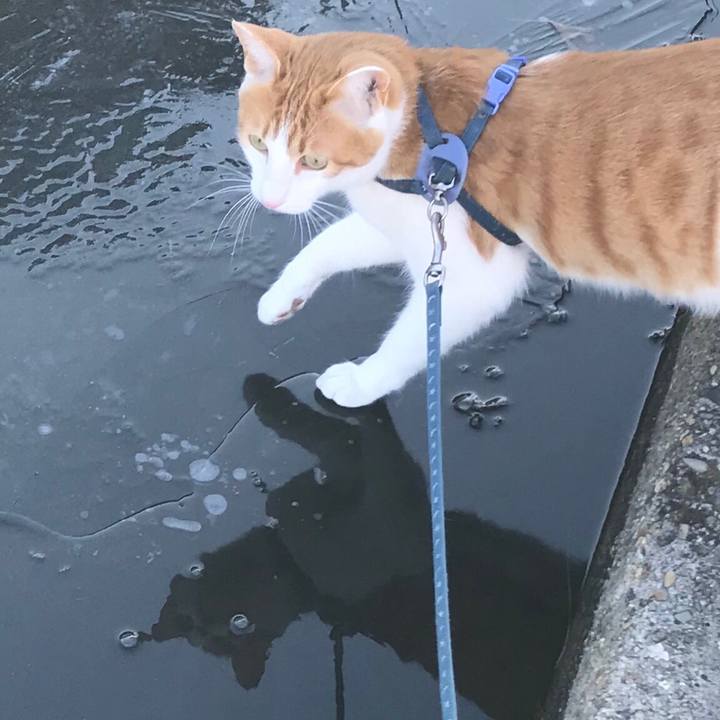 B8b37856 0603 4338 b7c1 e200338028f1 1515737761669