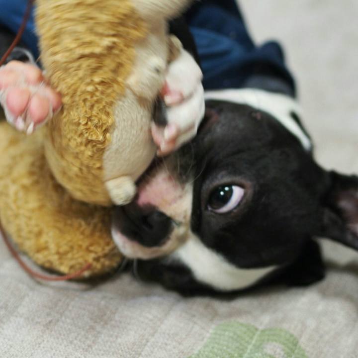 B8b39a08 3801 4b86 bed0 126a0217f123 1508161221492