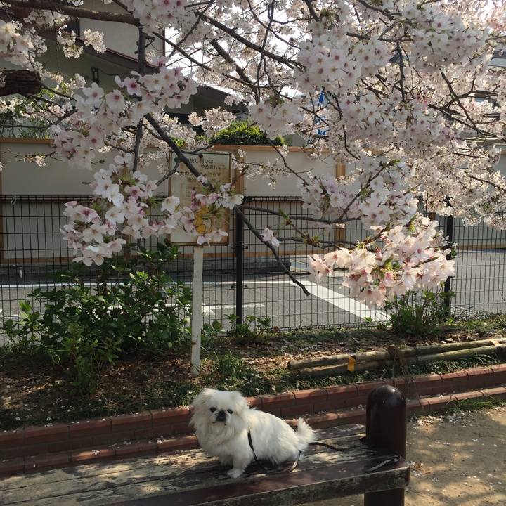 B8b3e8b6 4dc0 4a3e bf6f 7eaebf3d0af5 1554626811908