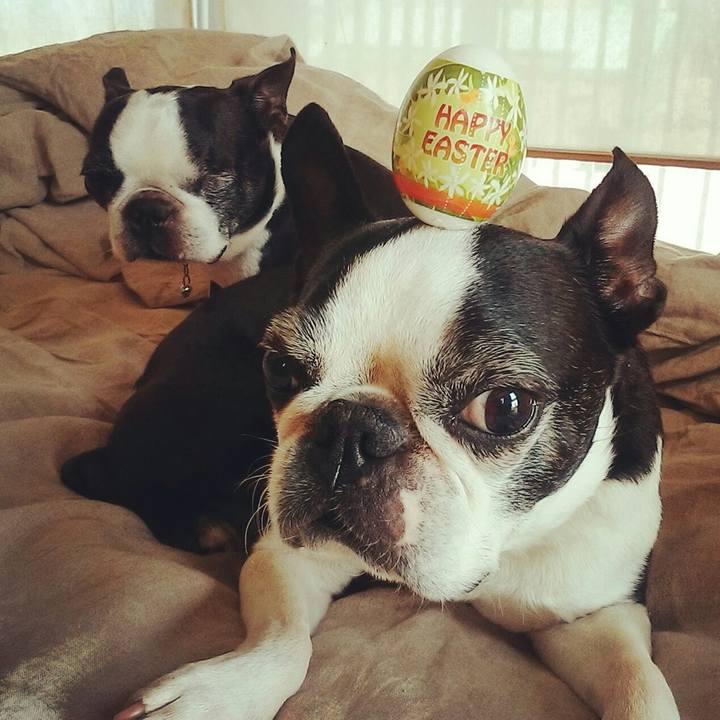 B8b42626 da52 40c1 bed9 40bc7ab4ba87 1522588892538