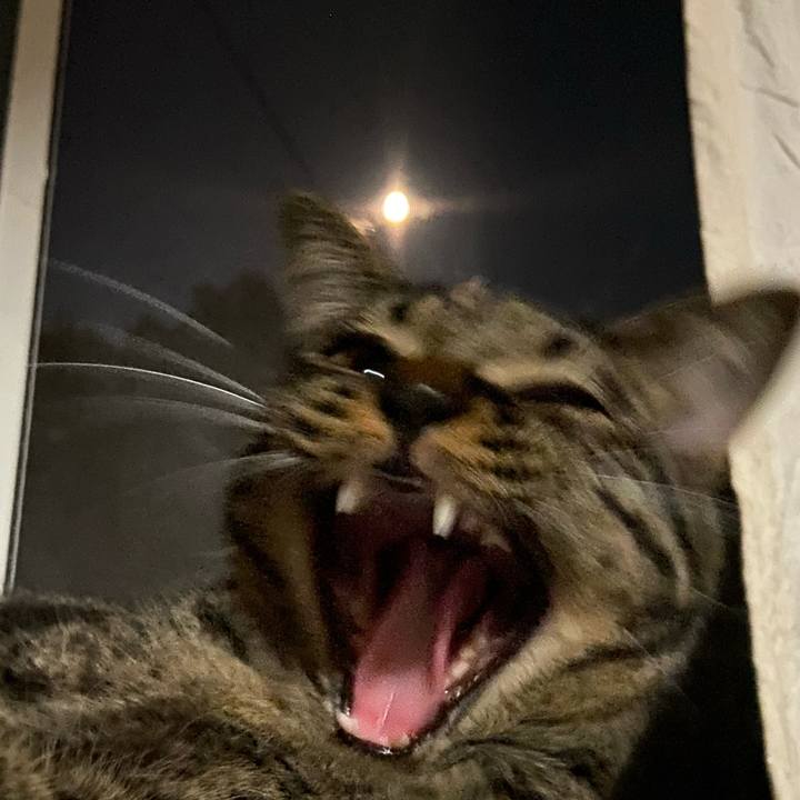 B8b453da 901b 482c b799 c8b025c6c8cc 1632055443681