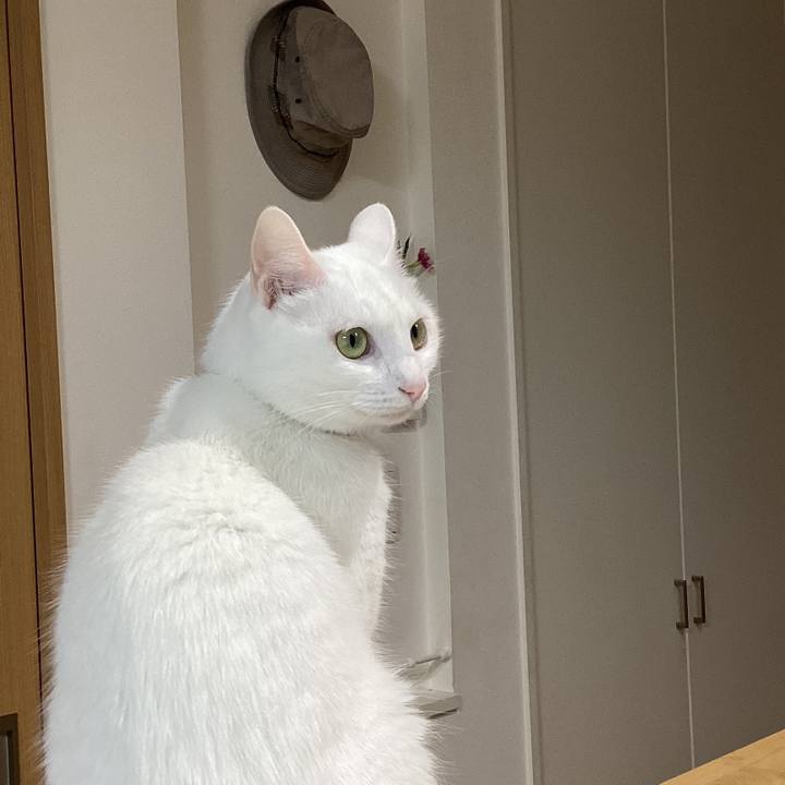 B8b48658 2b2b 4cd7 b385 a6d057fea8ce 1673322997365