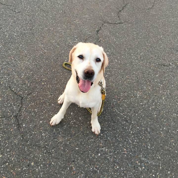 B8b48c8e 28ac 498d 80c9 759267e28f1e 1532517876655