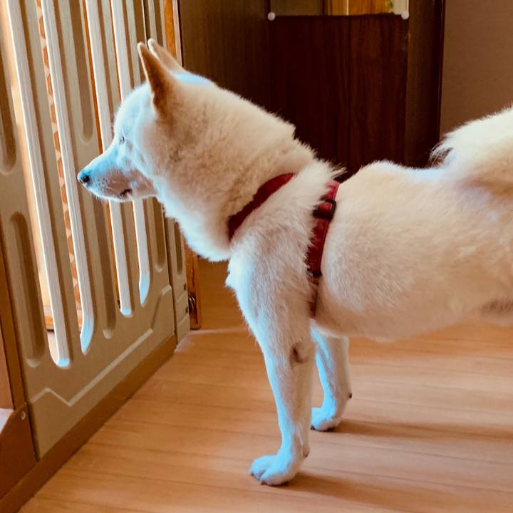 B8b49218 e16b 48ac bccc 7ce4ac03a63f 1563828957878