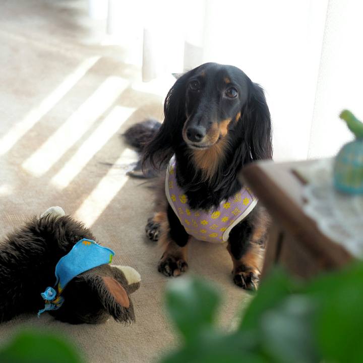 B8b4b45d 714d 41ef beb9 0530bc198e84 1567472968364