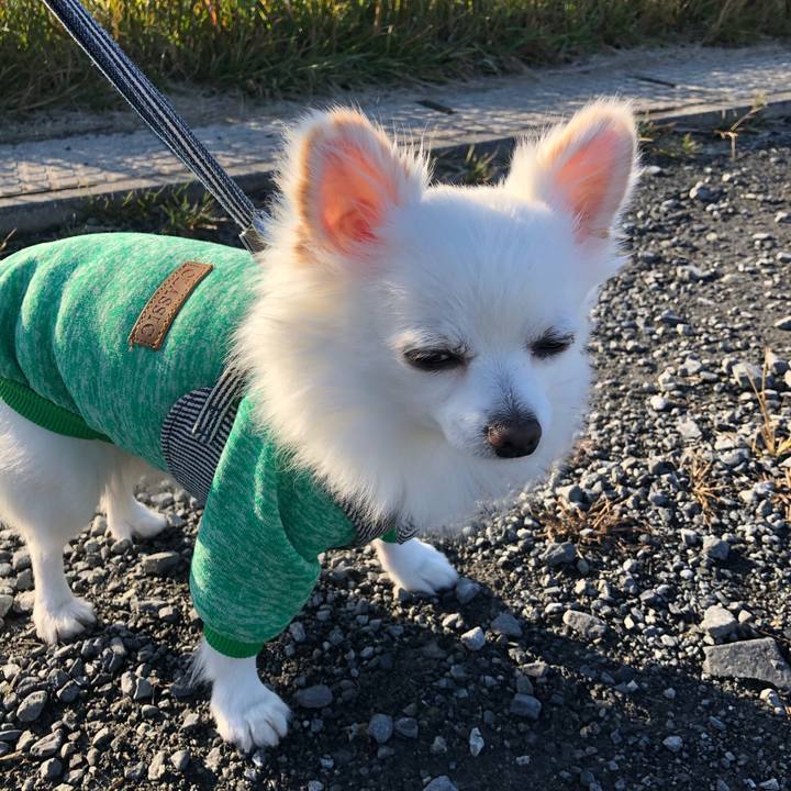 B8b4bbb5 4d03 4147 982b 2a79a1f039fb 1605228529581